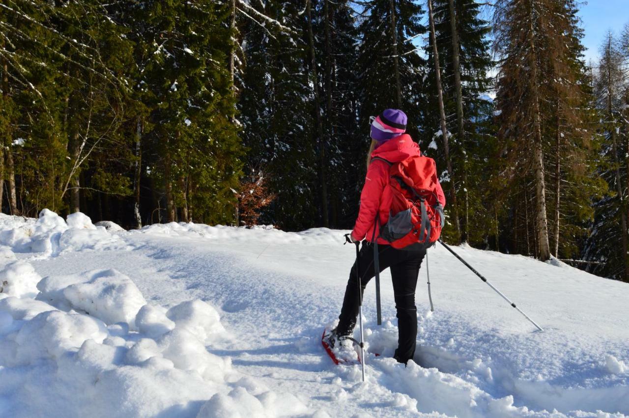Chalet Serena Roncegno Zewnętrze zdjęcie