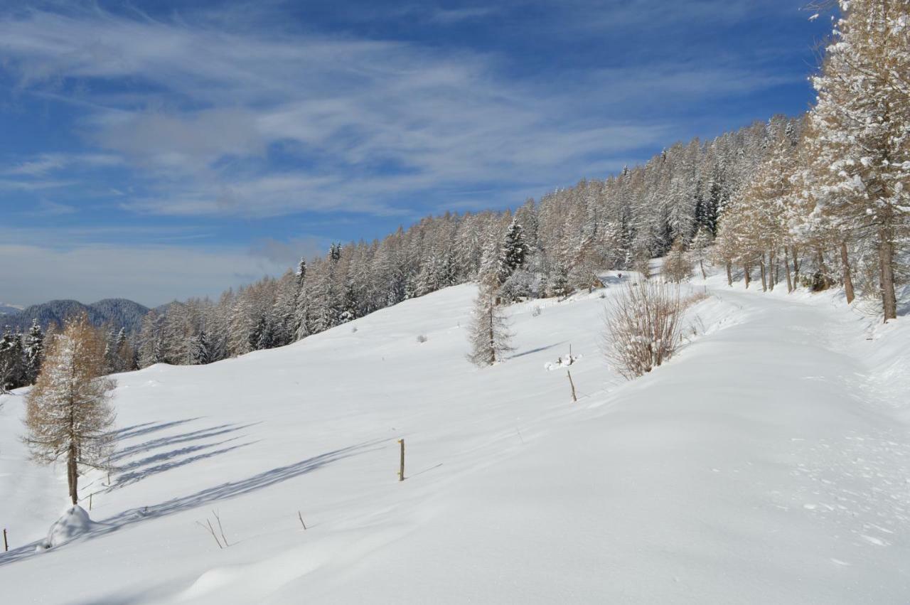 Chalet Serena Roncegno Zewnętrze zdjęcie